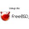 FreBSD - Administracja usługa jednorazowa